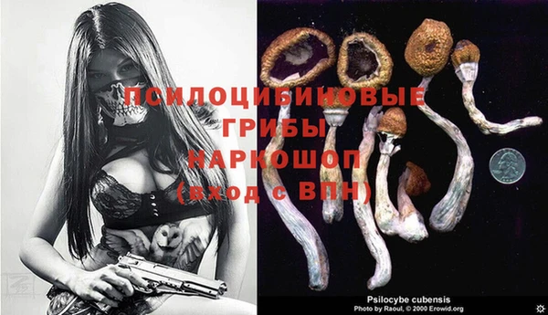 крисы Алзамай